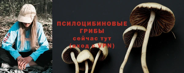 винт Бежецк