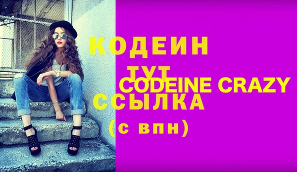 трава Коряжма
