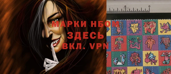 трава Коряжма