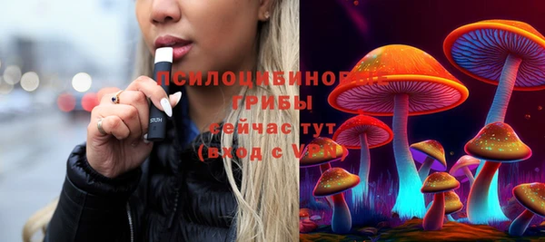 трава Коряжма