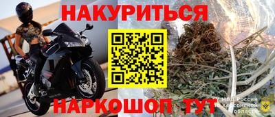 прущие грибы Малгобек