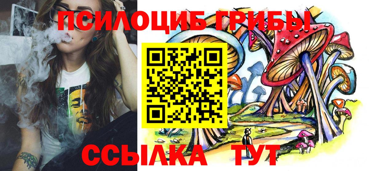 Псилоцибиновые грибы прущие грибы Маркс